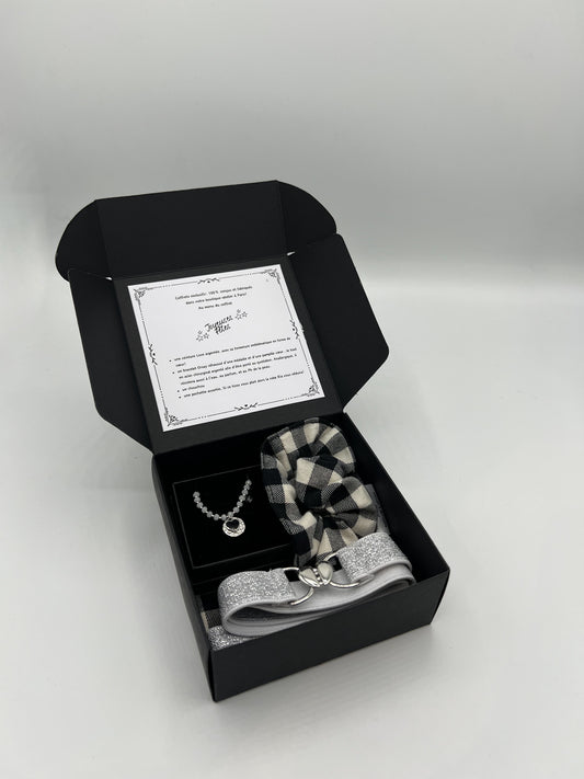 Coffret cadeau Joyeuses Fêtes argent